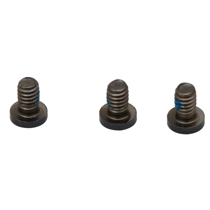 M2 M3 Miniature Torx Head Screws