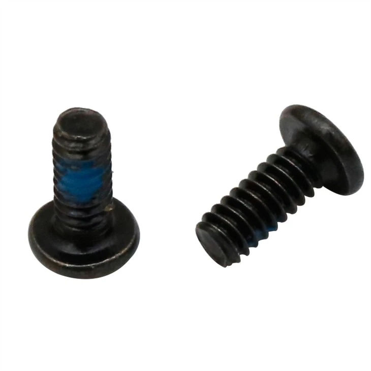 Small black cross recessed screw
